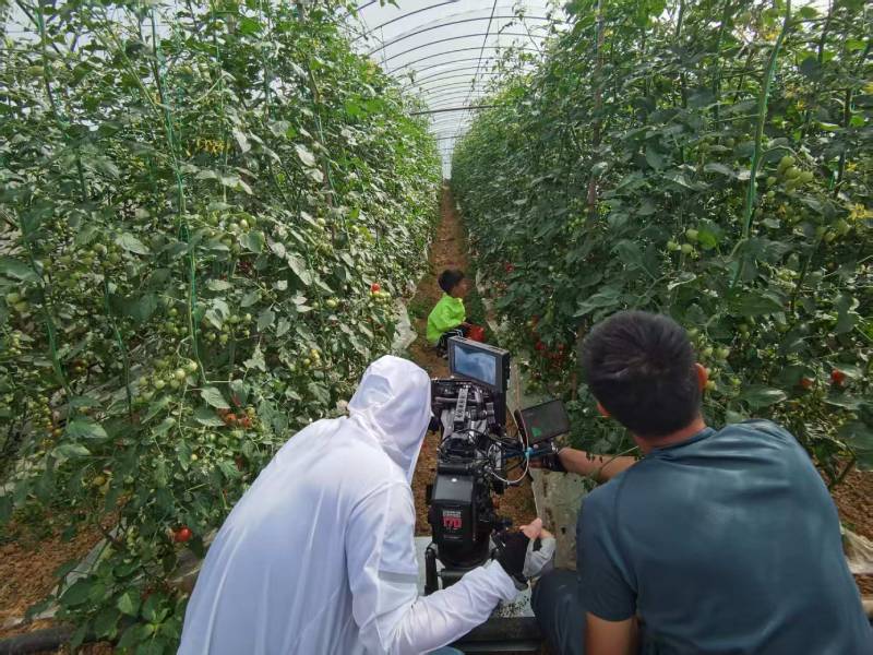 范县产品宣传视频拍摄公司进阶指南，助力品牌抢占传播高地